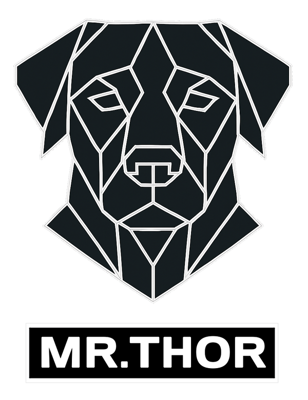 Mr.Thor