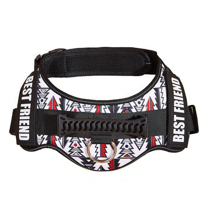 Big Dog Control Harness & Rope
