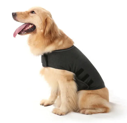 Comfort Pet Jacket