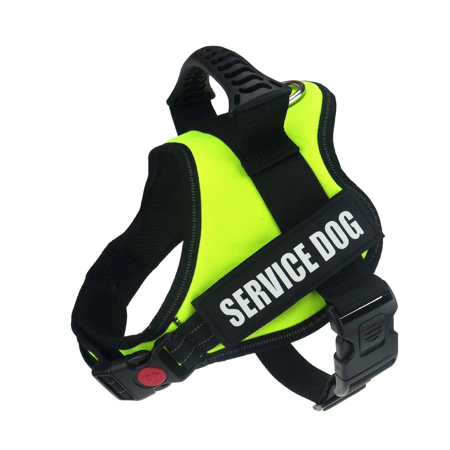 Big Dog Control Harness & Rope