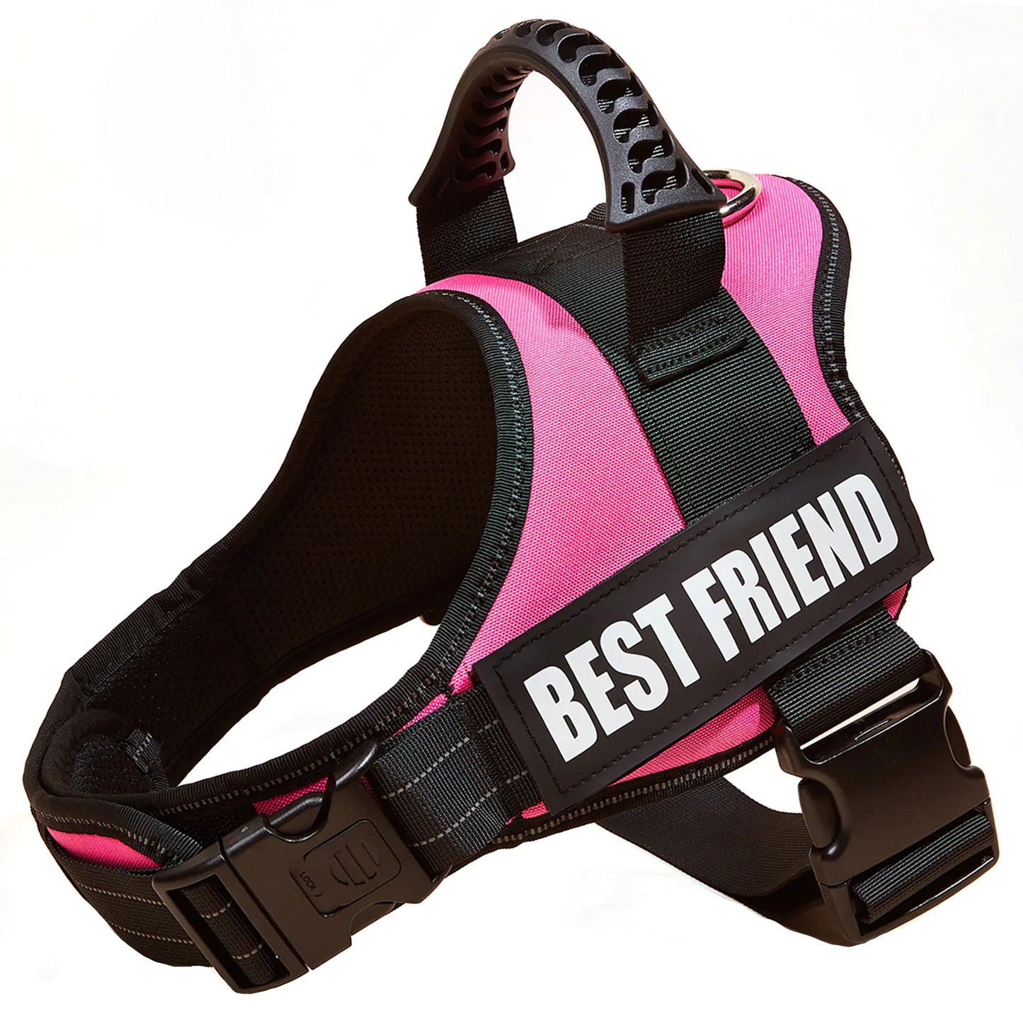 Big Dog Control Harness & Rope