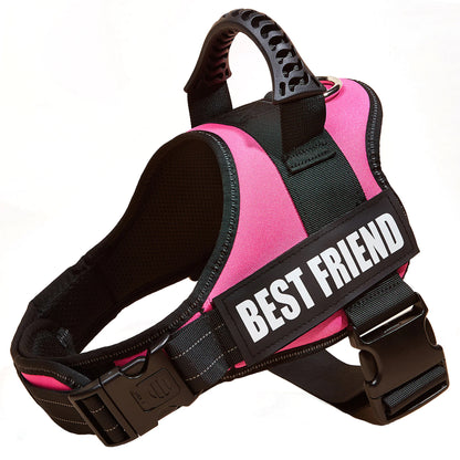 Big Dog Control Harness & Rope