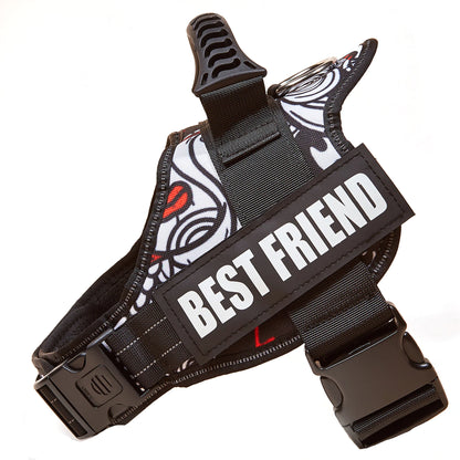 Big Dog Control Harness & Rope