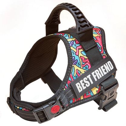 Big Dog Control Harness & Rope