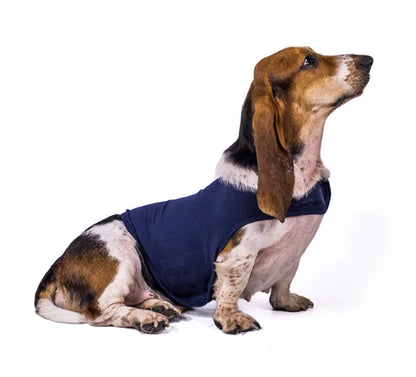 Comfort Pet Jacket