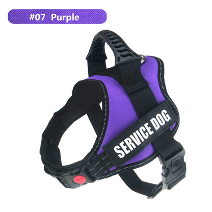 Big Dog Control Harness & Rope