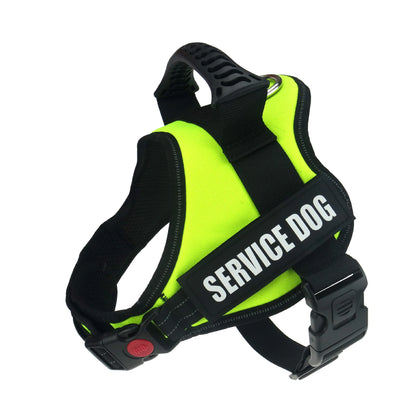 Big Dog Control Harness & Rope