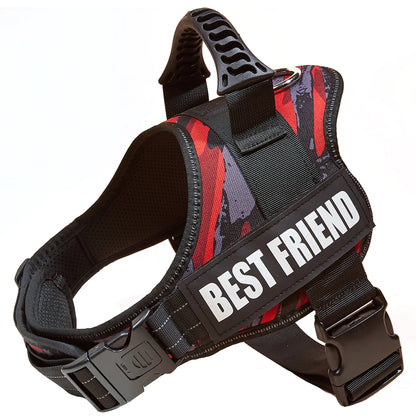 Big Dog Control Harness & Rope