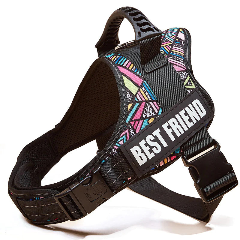 Big Dog Control Harness & Rope