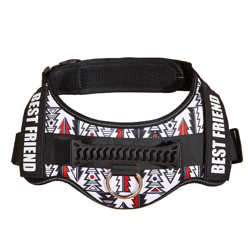 Big Dog Control Harness & Rope